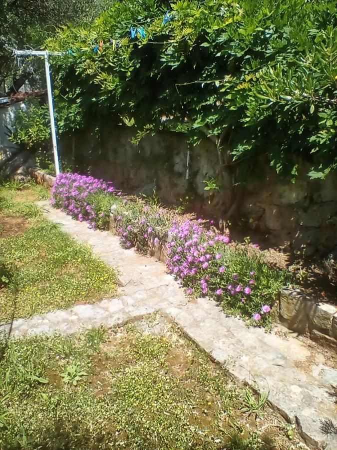 Apartman-Maja-Krk Krk Town Buitenkant foto